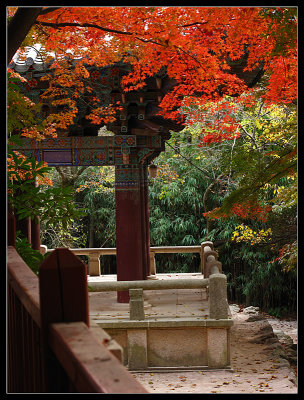 Autumn_2009.jpg
