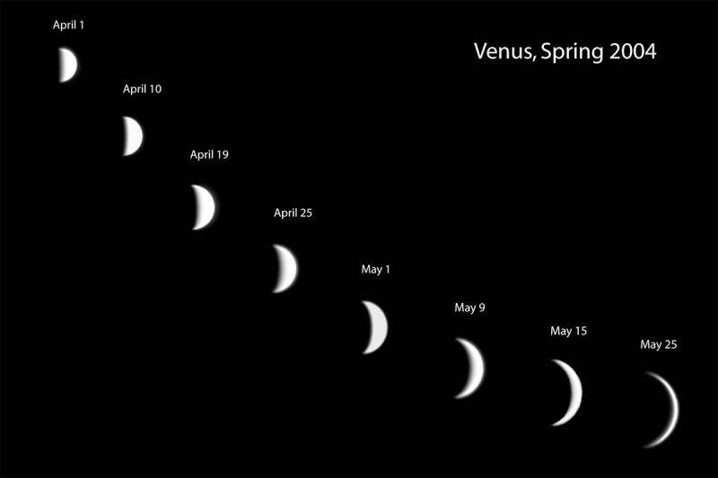 Venus Mosiac