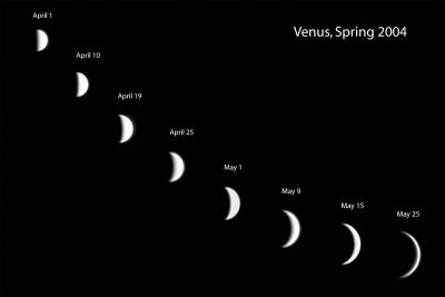 Venus Mosiac