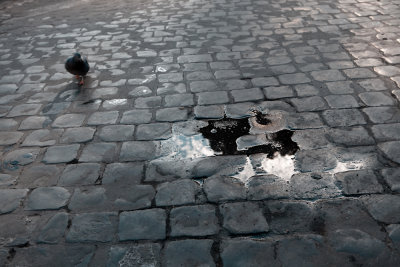 Rome, Italy 2009