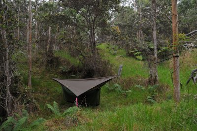 Honomalino Hammock Site