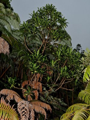 g3/06/685506/3/113250767.4rZzghqH.jpg