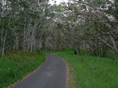 Mauna Loa Strip Road