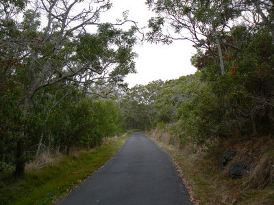 Mauna Loa Strip Road