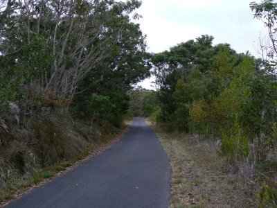 Mauna Loa Strip Road