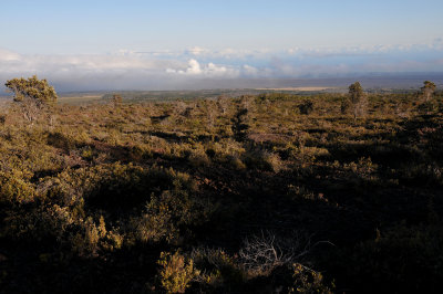 Mauna Loa Strip
