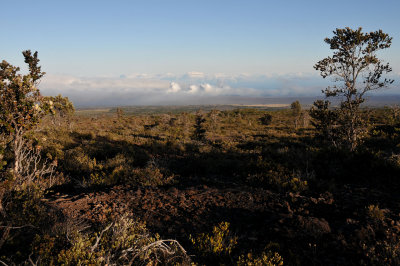 Mauna Loa Strip