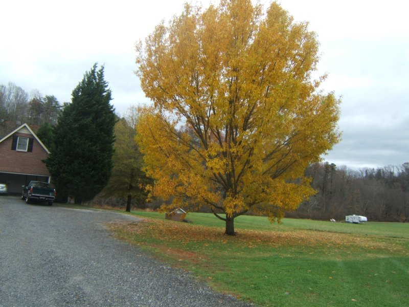 DSCF0552.JPG
