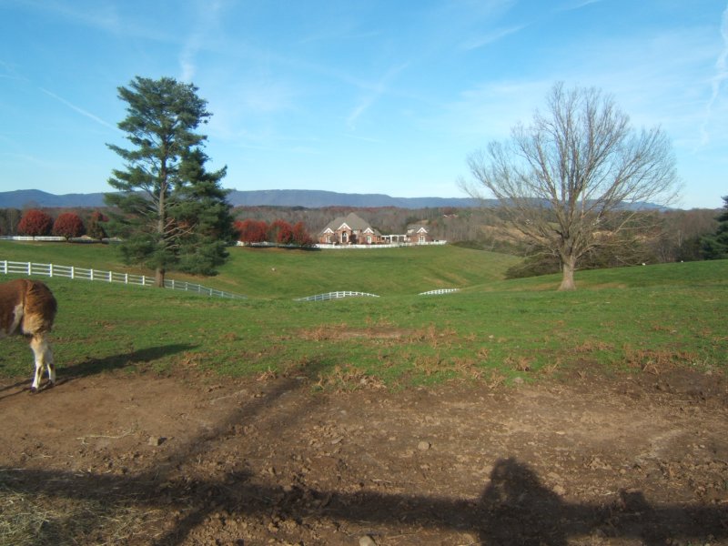 DSCF0563.JPG