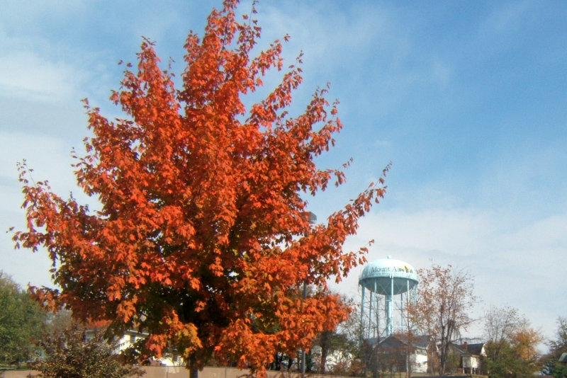 DSCF0721.jpg