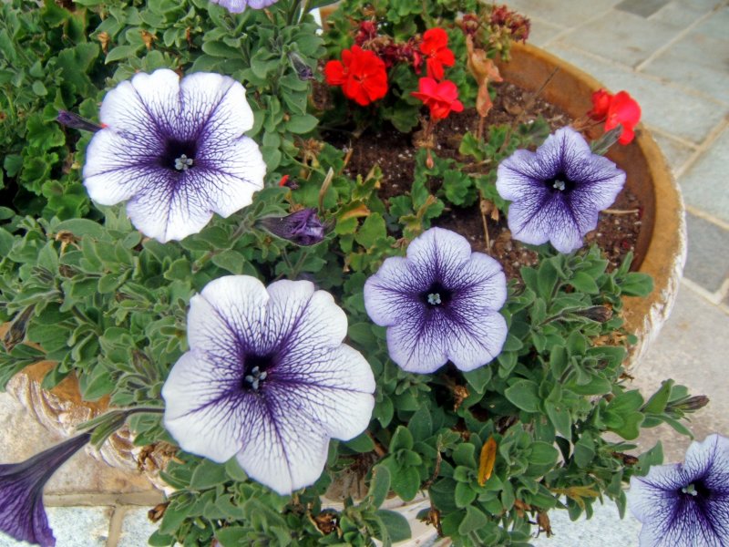 ~~~sweet beauty holding on~~~