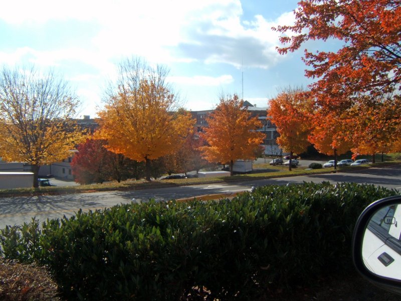                BEAUTIFUL AUTUMN AT LAST
