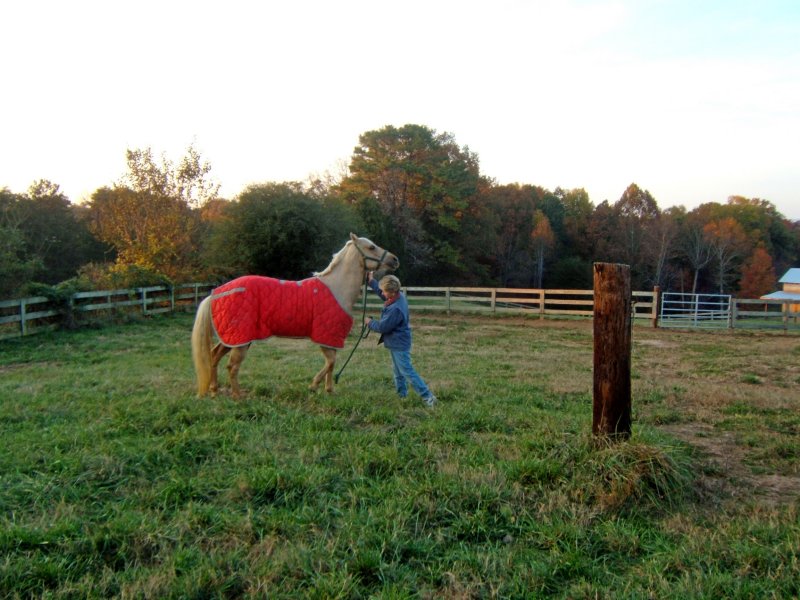 DSCF0752.jpg