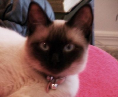 JAZZIE 52209 0128.jpg