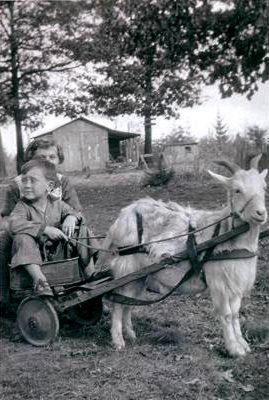 AMOS,  JIMMY  and HAZEL