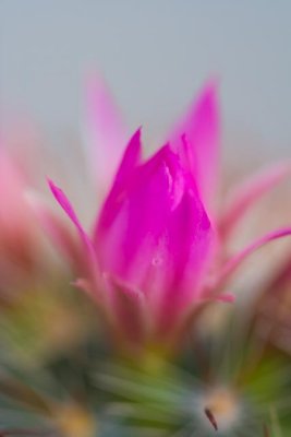 IMG_6302.jpg