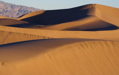 dune sunrise 5379.jpg