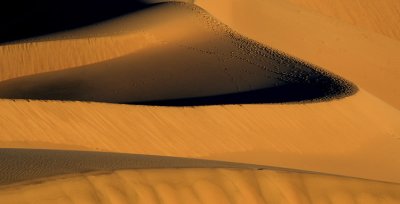 dune sunrise 5389.jpg