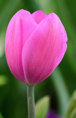 IMG_5746web.jpg