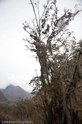 MSClimb2008-1245.jpg
