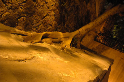 DSC_3063.jpg