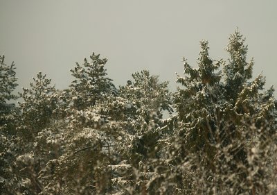 g3/06/726506/3/124130951.j0Zgm3a2.jpg