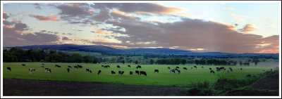 Autumn Evening North Cork