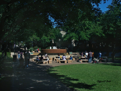 Arboretum Fountain and Park 2