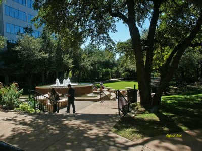 Arboretum Fountain