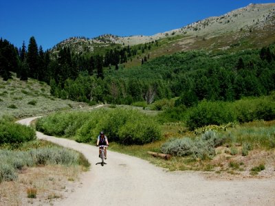 IMG_2200.JPG