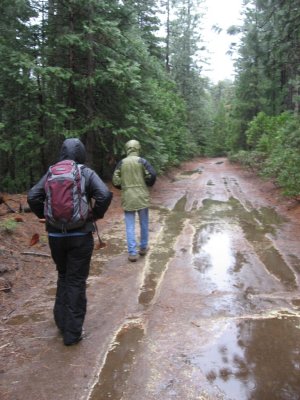 Merced Grove Trail...