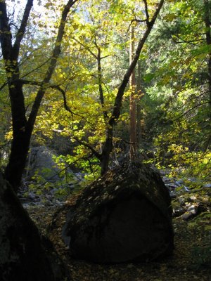 IMG_3486.JPG