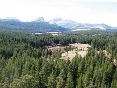 IMG_3536.JPG