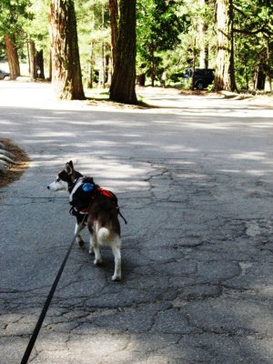 Oh Boy !  Finally a hike