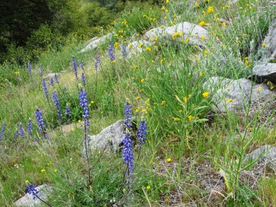 IMG_1582.JPG