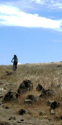 IMG_1713.JPG