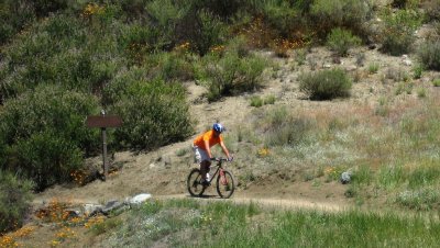 IMG_1758.JPG