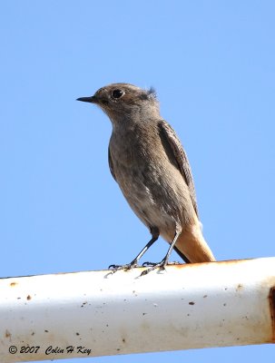 0C0J3617a.jpg