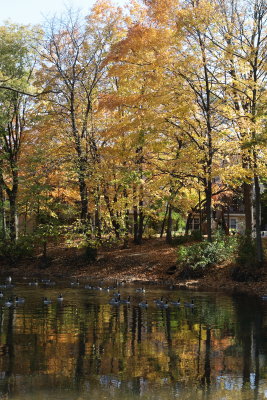 River Walk 2