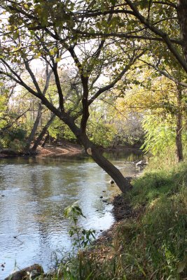 River Walk 6