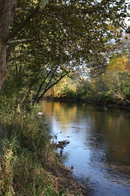River Walk 7