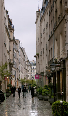 Rue des Rosiers