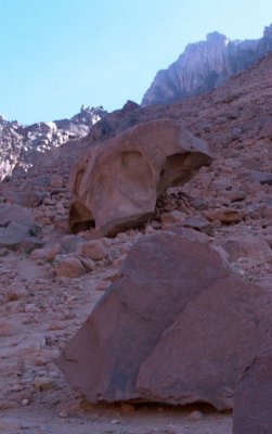 Up Mount Sinai
