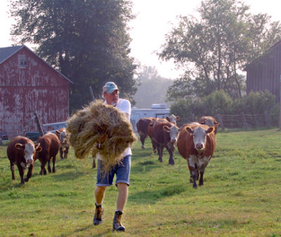 Mealtime on a Farm