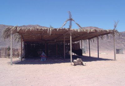 A Sinai Rest Stop