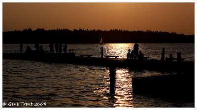 Evening swim-2860.jpg
