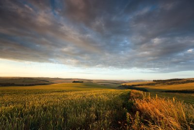 South Downs in the Golden Hour