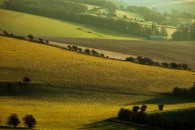 Winter Tapestry