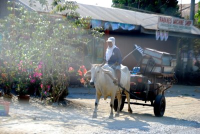 Pinoy Transport 100.JPG