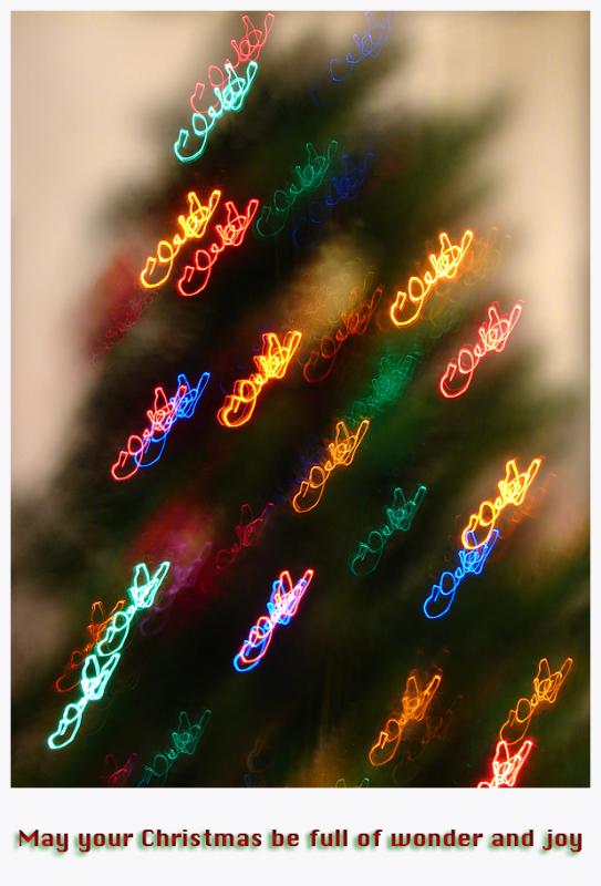 Wonder Full Christmas